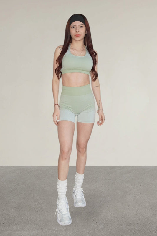Dynamic Sage Ombre Set